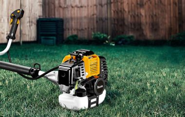 Як створити ідеальний газон 