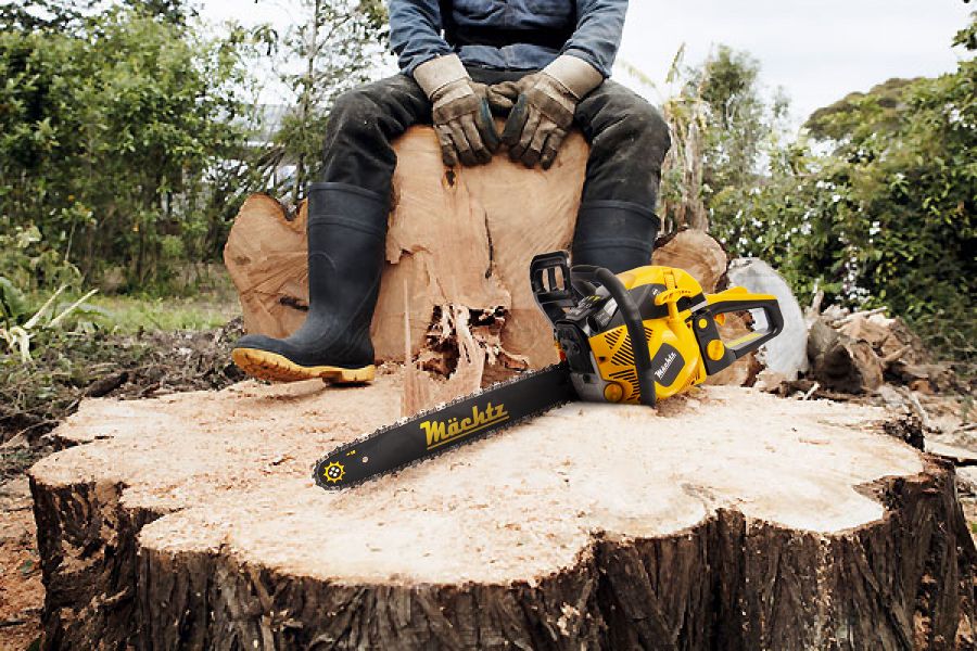 Бензопила на бальшом пне