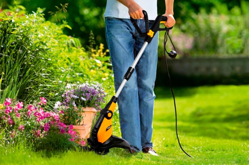 Как создать идеальный газон