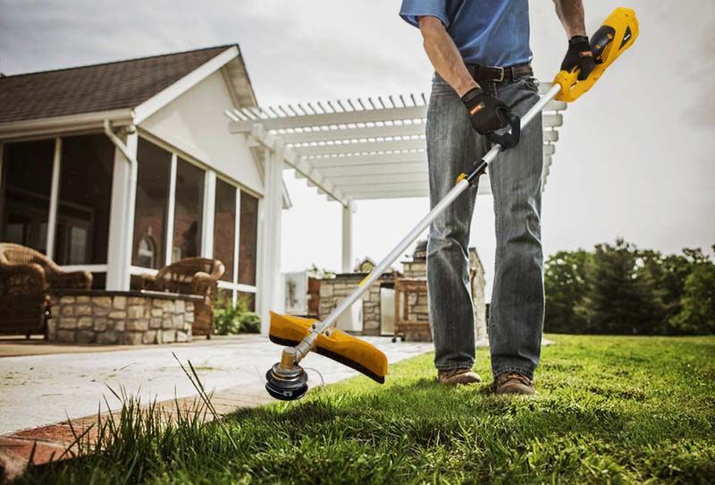 Как создать идеальный газон