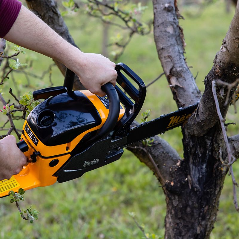 Лісоруб спилює дерево бензопилою