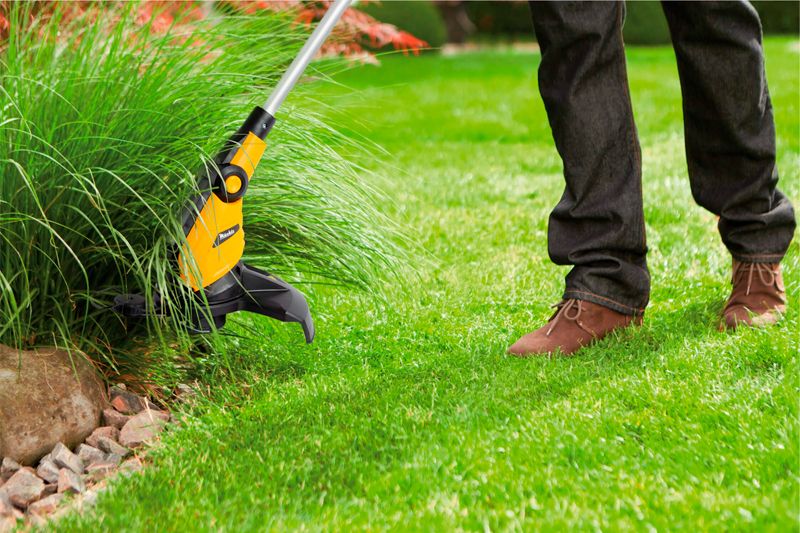 Как создать идеальный газон