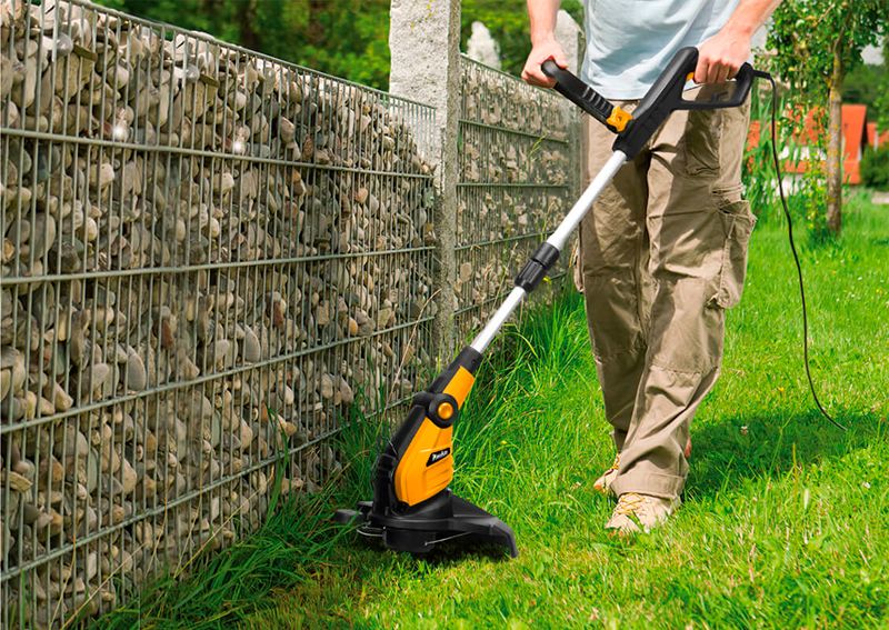 Как создать идеальный газон