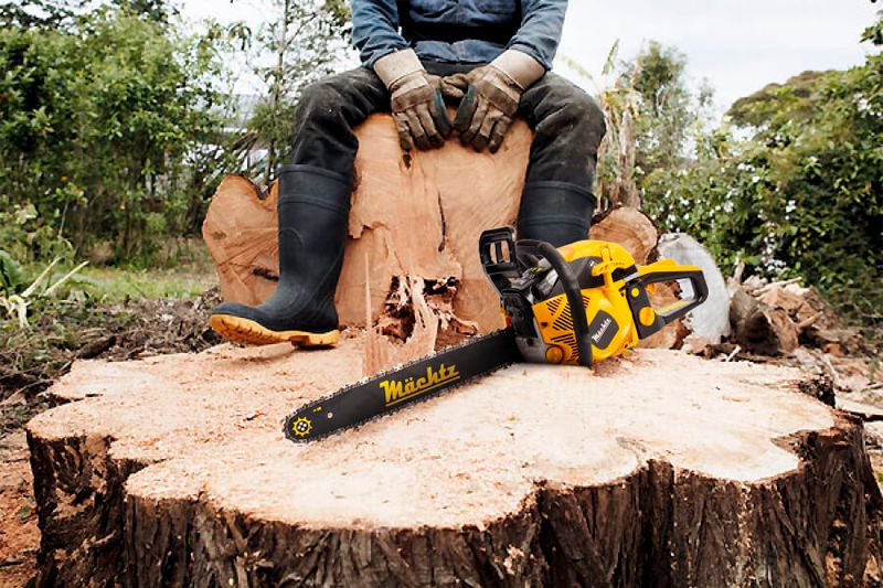 Советы при выборе бензопилы