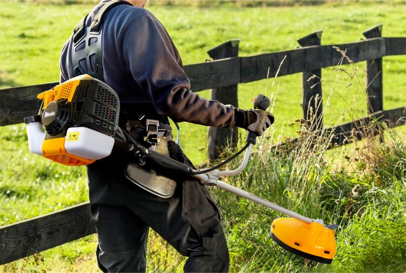 Как создать идеальный газон